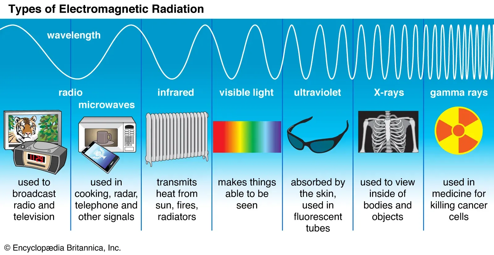 <ol><li><p>Radio waves</p></li><li><p>Microwaves</p></li><li><p>Infrared waves</p></li><li><p>Visible light waves</p></li><li><p>Ultraviolet waves</p></li><li><p>X-rays</p></li><li><p>Gamma ray </p></li></ol><p></p>