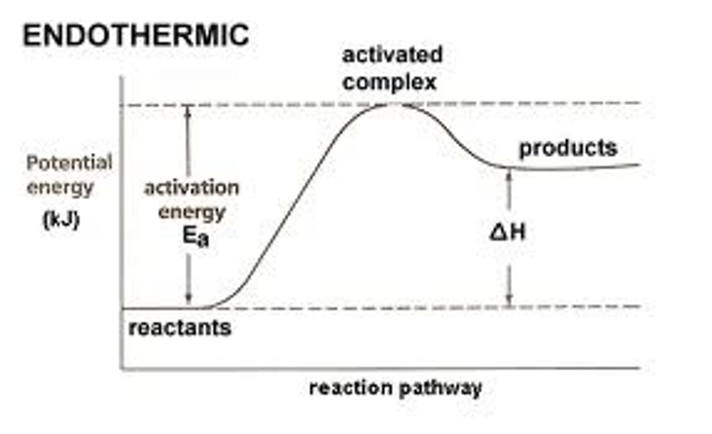 <p>Energy is taken in from the surroundings (endothermic). Therefore the temperature of the products is higher than the reactants.</p>