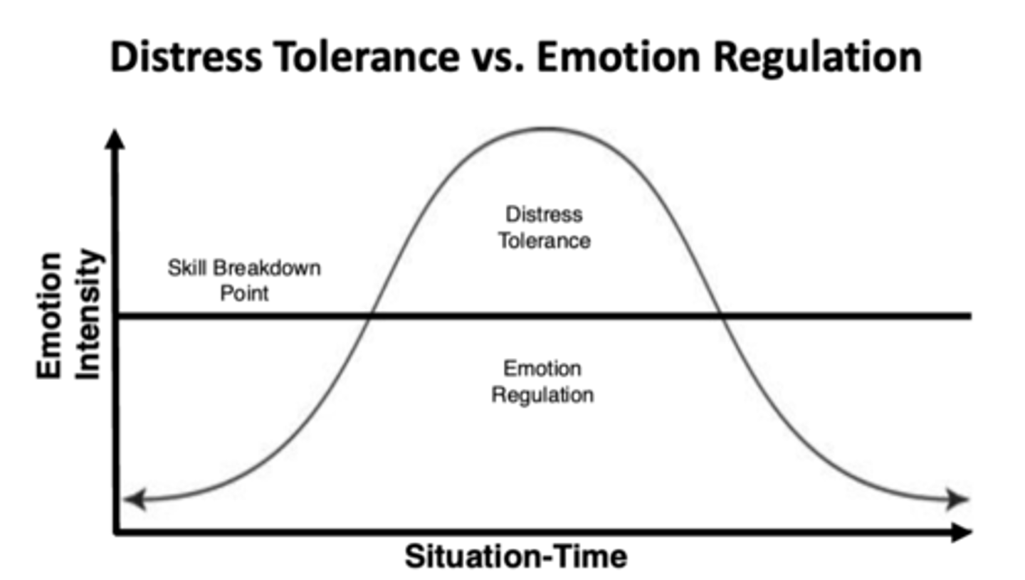 <p>Start: an event that triggers an emotional response</p><p>Rapidly go up on emotional intensity</p><p>To skill breakdown point: can't talk yourself out of it, hard to do emotion regulation skills (mindfulness, etc.)</p><p>After going down: go back to problem-solving and emotion regulation</p>