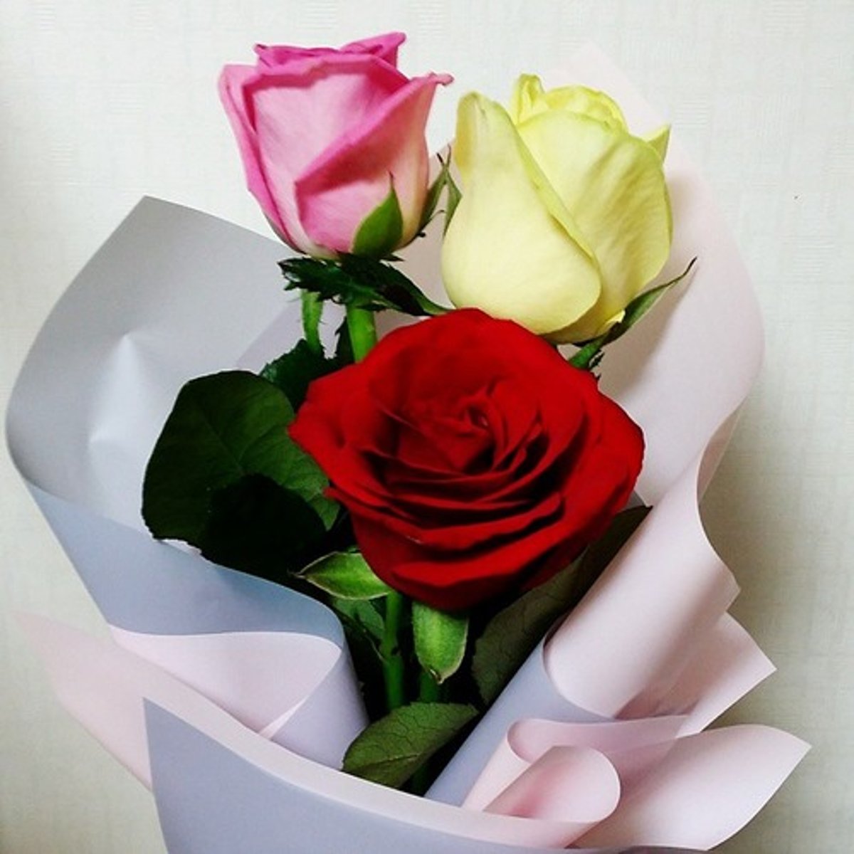 <p>tiệc tất niên</p>