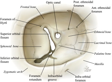 <p>Hapje në murin medial të orbitës, formuar nga incisura ethmoidalis të ashtit frontal dhe ethmoidal.</p>