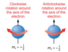 <ul><li><p>Fourth quantum number</p></li><li><p>Describes the orientation of electron spin</p></li><li><p>Direction of spin determines the spin magnetic quantum number of either +½ or -½</p></li><li><p>There are only two possible m<sub>s</sub> values</p></li><li><p>Depicted as up and down arrows (↑↓)</p></li></ul><p></p>