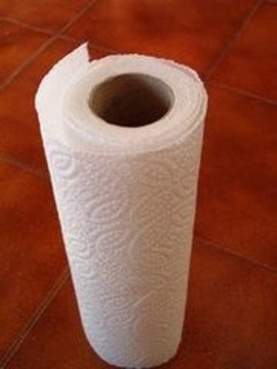 <p>a paper towel</p>