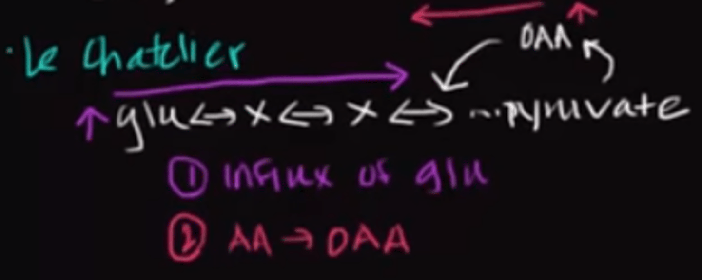 <p>If the concentration of oxaloacetate increased within a cell, the rate of glycolysis would decrease and the rate of gluconeogenesis would increase.</p><p>Struggling to memorize the metabolic pathways (such as glycolysis and beta-oxidation)? Learn them like the back of your hand using Andrew's Metabolic Pathways Mastery Course @ https://mcatselfprep.com/course/andrews-metabolic-pathways-mastery-course/</p>