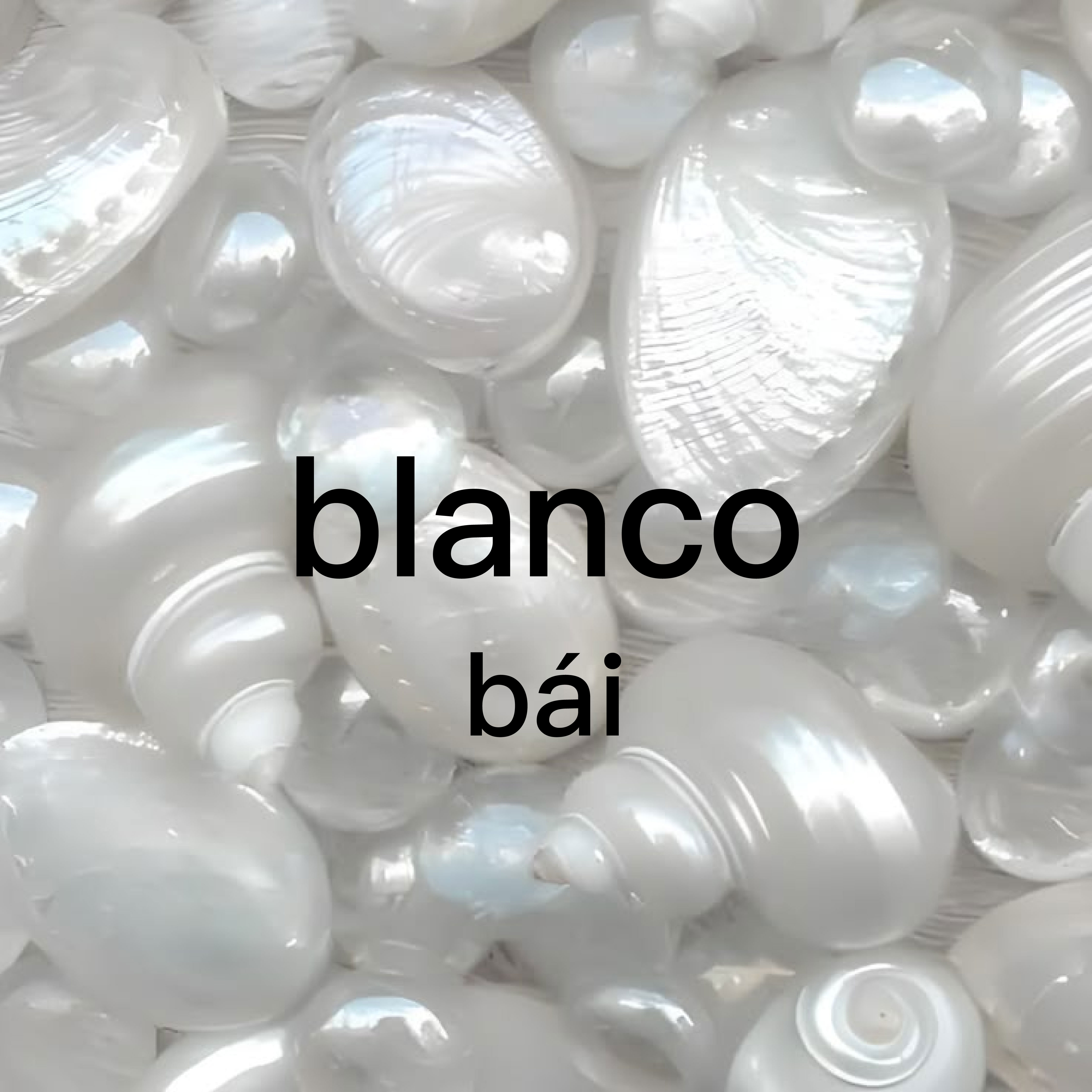 <p><span style="font-family: Calibri, sans-serif">bái</span></p><p></p>
