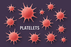 <p>Component of Hemostasis: Platelets </p>