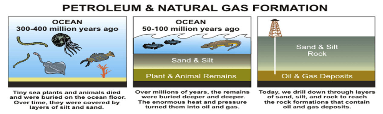 <ul><li><p>Buried marine organic materials are transformed into petroleum products by intense pressure and heat in rock formations</p></li></ul><p></p>