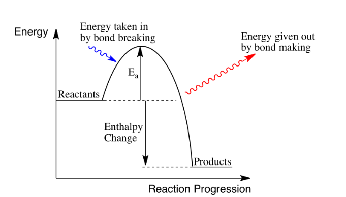 <p>A reaction where heat energy is released</p><p>Negative enthalpy change</p>