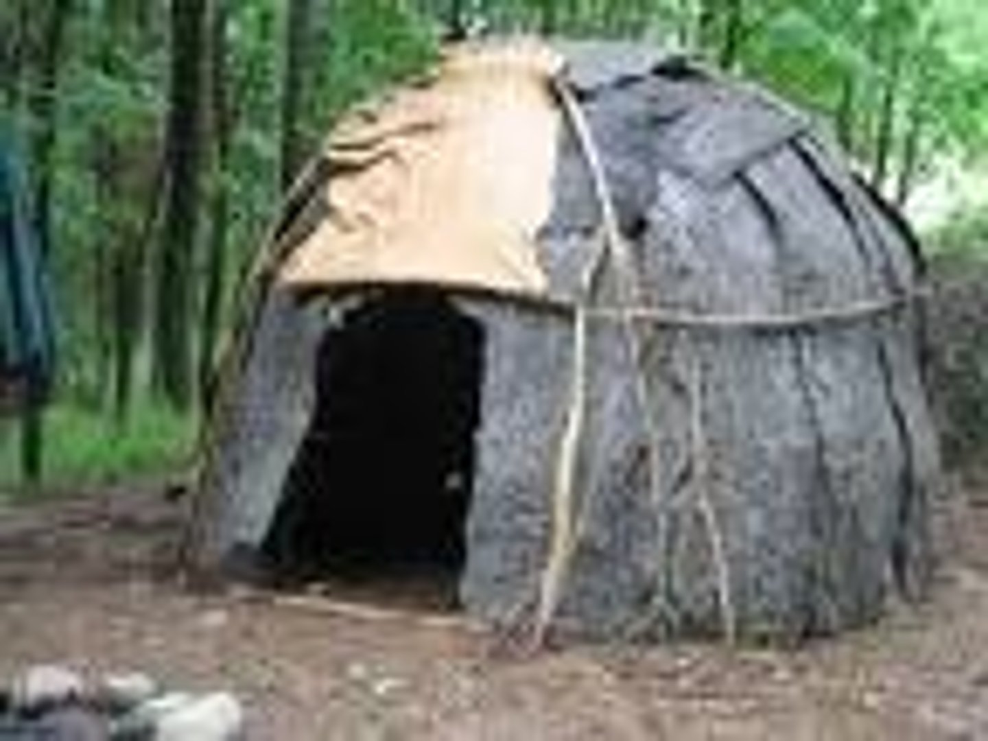 <p>A native American lodge frequently having an oval shape and covered with bark or hides</p>