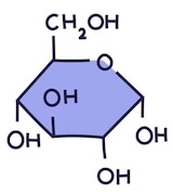 <p>Name this monosaccharide</p><p></p>