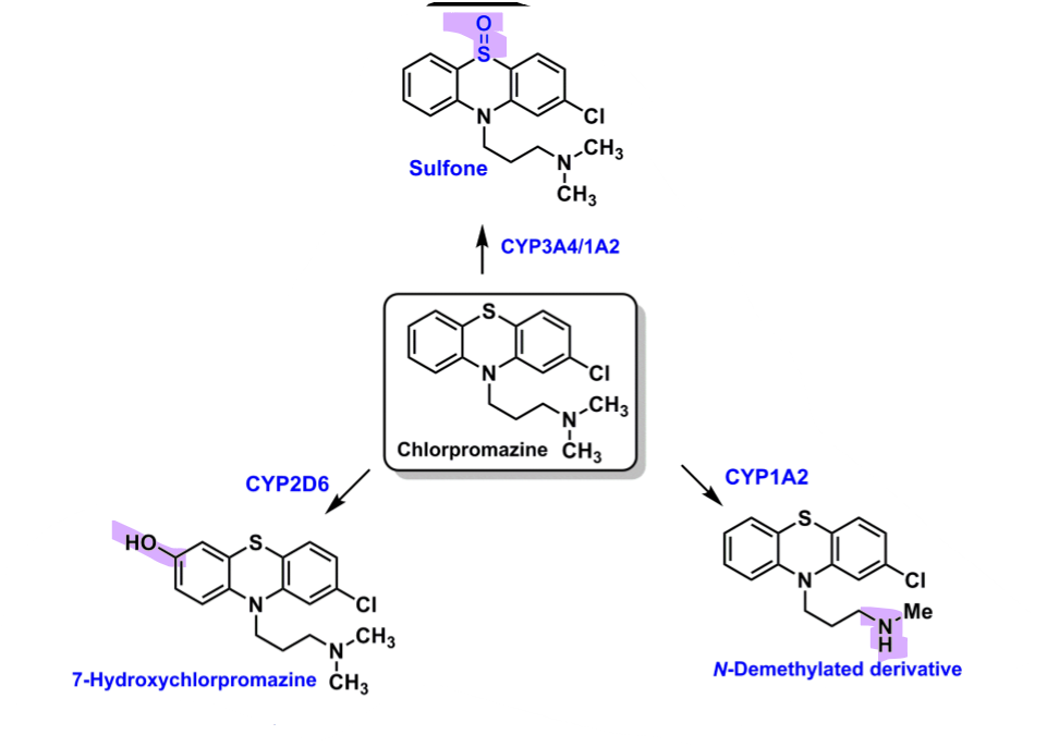 <ul><li><p>3A4/1A2 </p><ul><li><p>sulfone&nbsp;</p></li><li><p>NO activity</p></li><li><p>associated with CV toxicity </p></li></ul></li><li><p>2D6 </p><ul><li><p>oxidation of benzene to hydroxy&nbsp;</p></li><li><p>some activity&nbsp;</p></li></ul></li><li><p>1A2&nbsp;</p><ul><li><p>secondary amine&nbsp;</p></li><li><p>inactive&nbsp;</p></li></ul></li></ul><p></p>