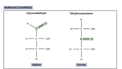 <p>We can do this by looking at the different groups—aldehyde group and ketone group.<br><br>An aldehyde group (<strong><u>aldose</u></strong>) is present if the carbonyl C (C double bonded to O) is the last one in the chain.<br><br>A ketone group (<strong><u>ketose</u></strong>) is present if the carbonyl C is surrounded by other carbons on both sides of it. <br><br>Look at the image. </p>