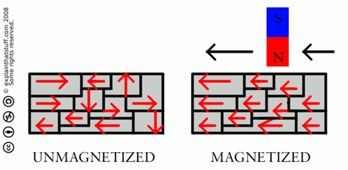 <p>Region where electrons are aligned into magnetic fields---spinning electrons are unpaired.</p>