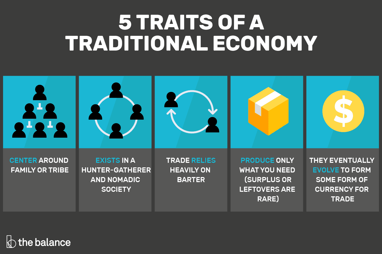 <p>Traditional economy</p>