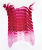 <p>What is this and what is it used for?</p>