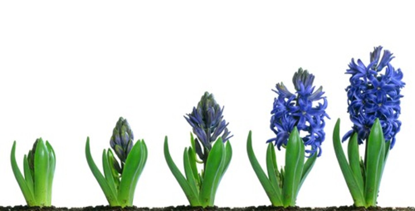 <p>to grow, arise, appear, increase.</p>