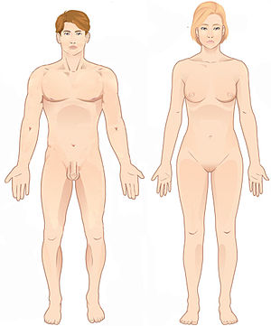<p>body erect, feet slightly apart + parallel, arms hanging on side with palms facing forward and thumbs pointing away</p>