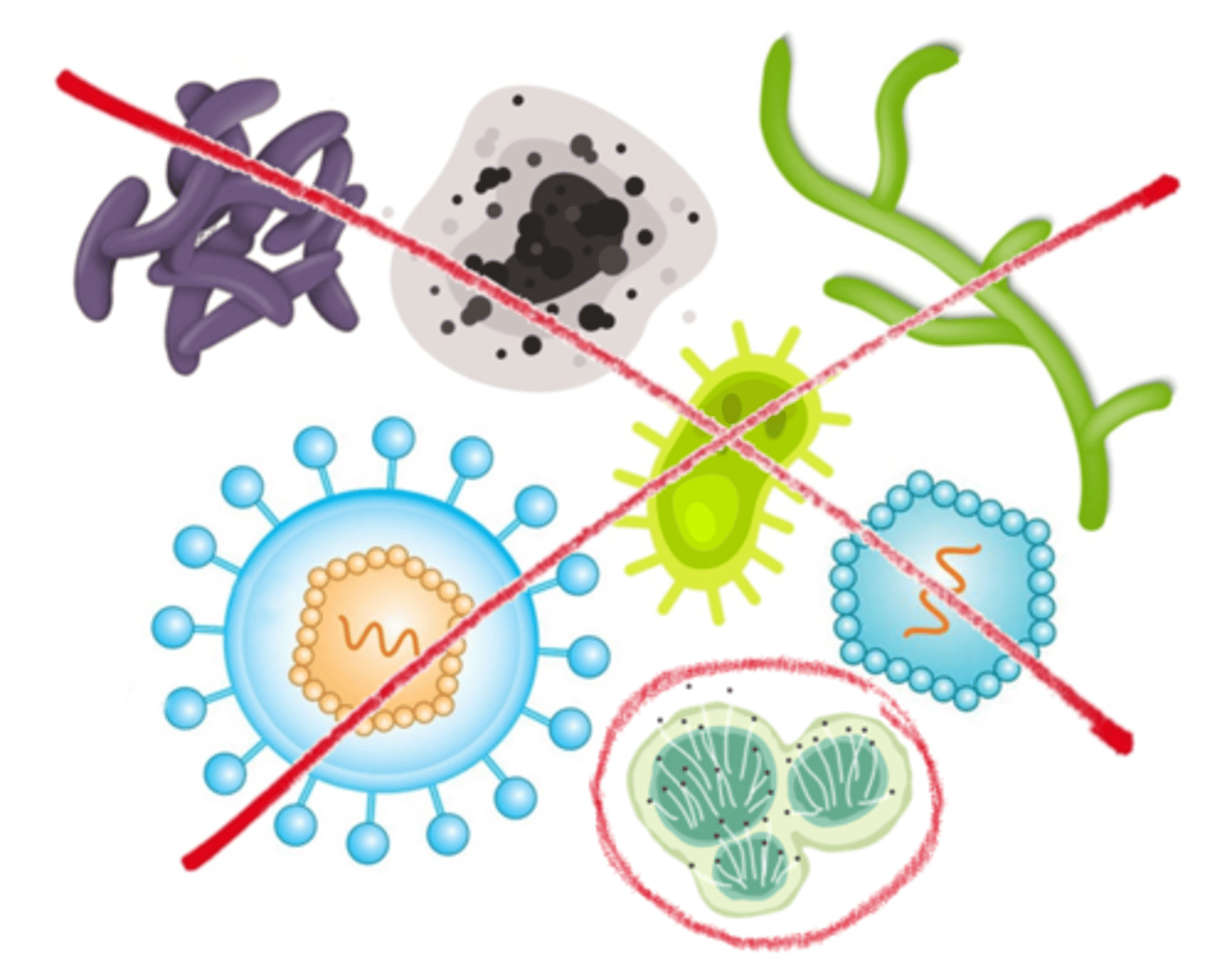 <p>the destruction of all vegetative microorganisms but not necessarily microbial spores</p>