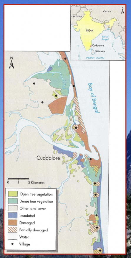 Vegetation plays a role in determining tsunami damage

eg. 

* the Mangroves in India 
* pictured in green 

\
In areas impacted by smaller waves, trees and dense vegetation can protect the land 

\
