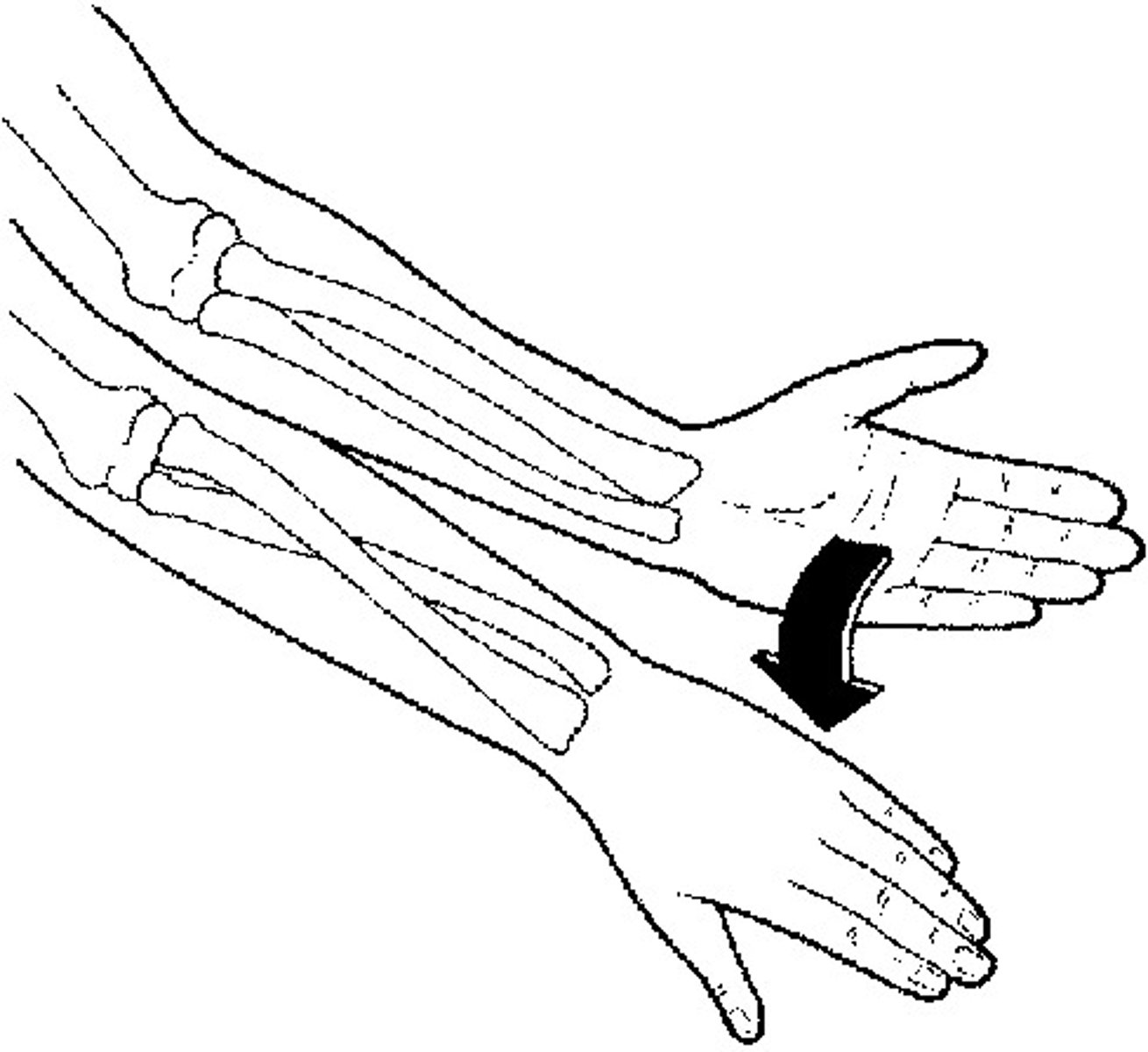<p>rotate lower arm and palm downward</p>
