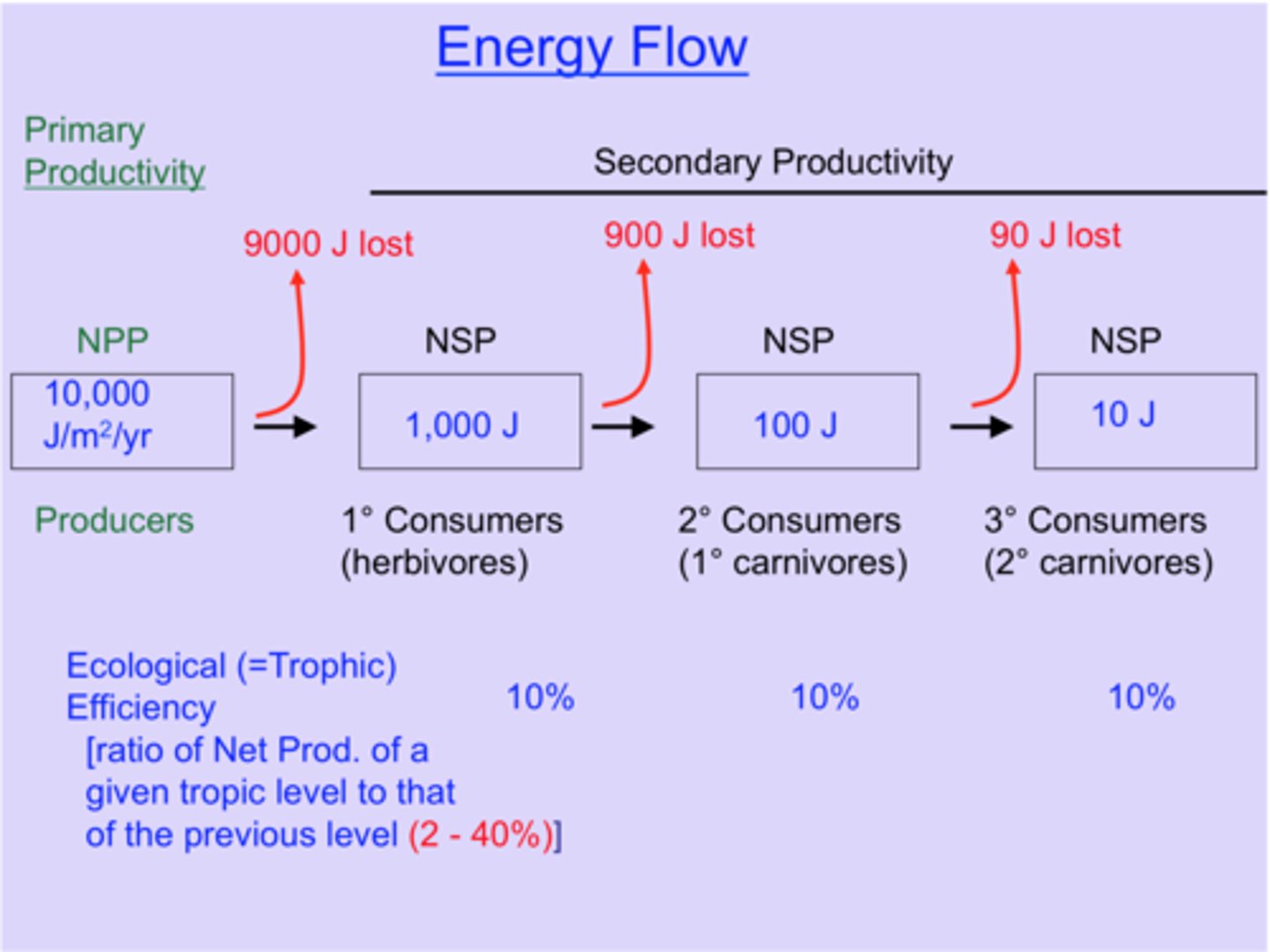 <p>(energy used for growth(new biomas)/ energy supplied x 100</p>