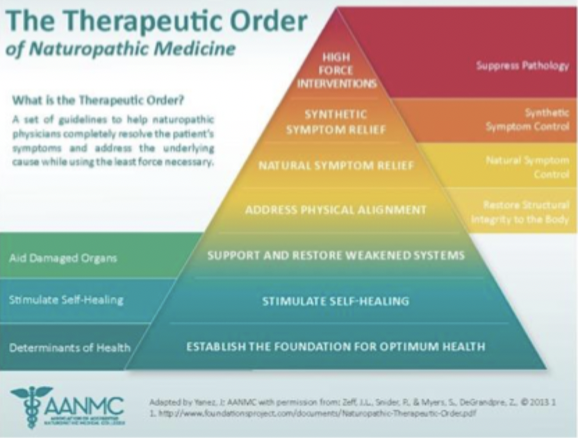 <p>A framework used by naturopathic practitioners to prioritize treatments based on the underlying cause of illness. It emphasizes correcting imbalances and addressing root causes to promote overall health, beginning with least invasive methods before progressing to more complex interventions. </p>