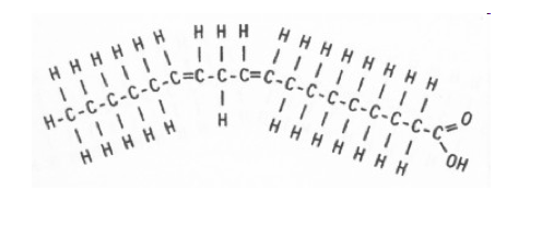 <p>the carbon chain contains 1+ double bond causing bends (oil)</p>