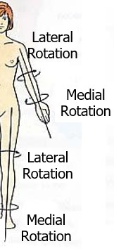 <p>rotational movement away the midline</p><p>ex: As an example, when the leg is laterally rotated, it is turned out at the hip causing the toes to turn away from the body. Lateral rotation of the elbow turns the arm so that the palm of the hand is facing forward.</p>