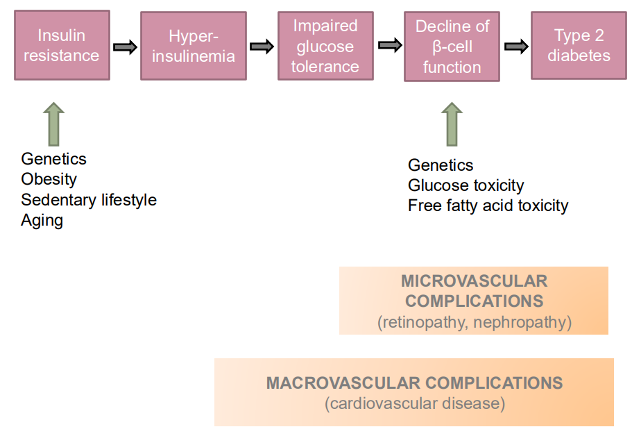<p>Type 2 Diabetes flow chart</p>