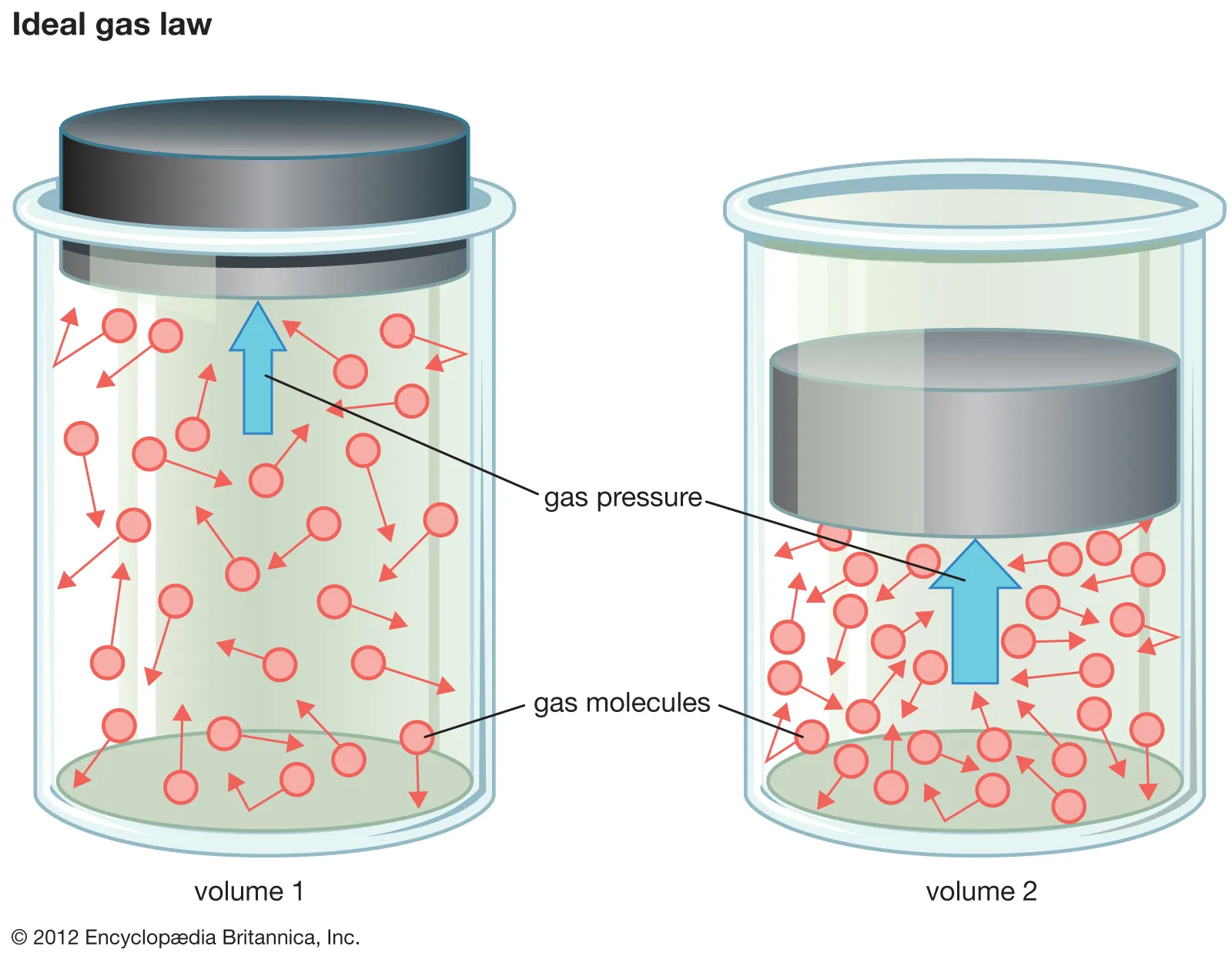 <p>The amount of space that a gas occupies, typically measured in liters (L) or cubic meters. </p>