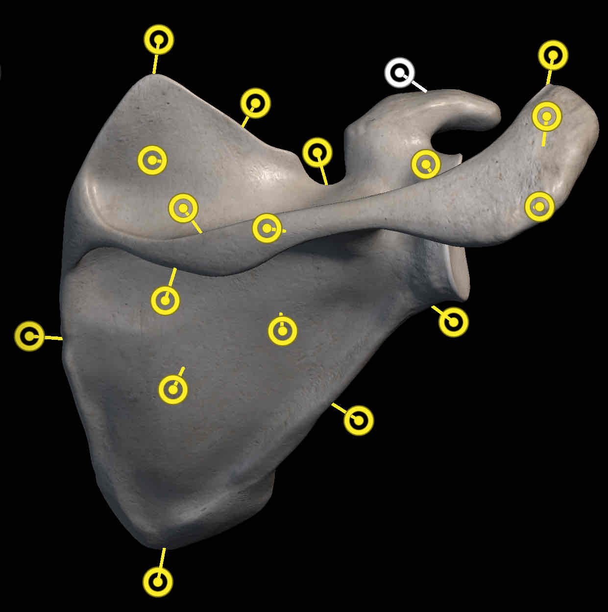 <p>Name the structure </p>