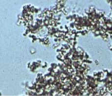 <p>What crystal is this?</p>