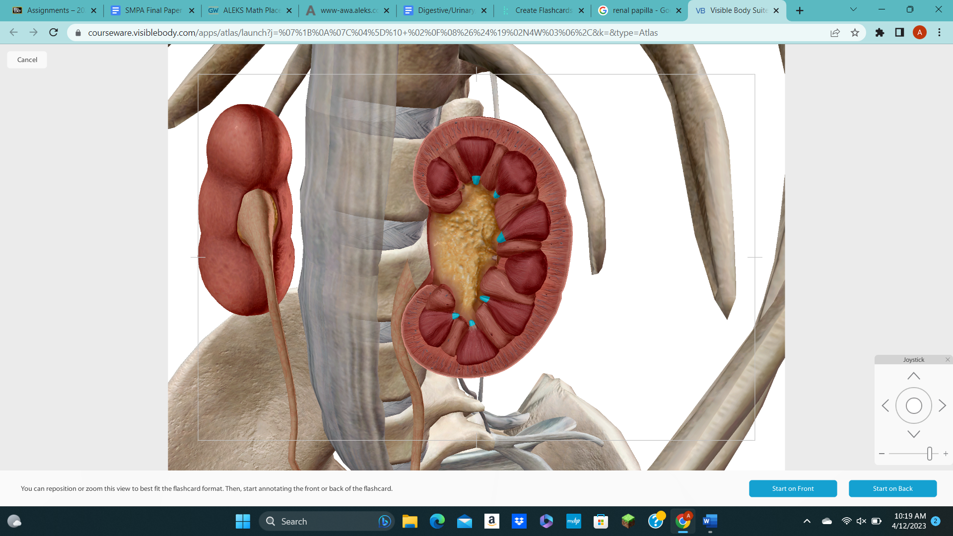 knowt flashcard image