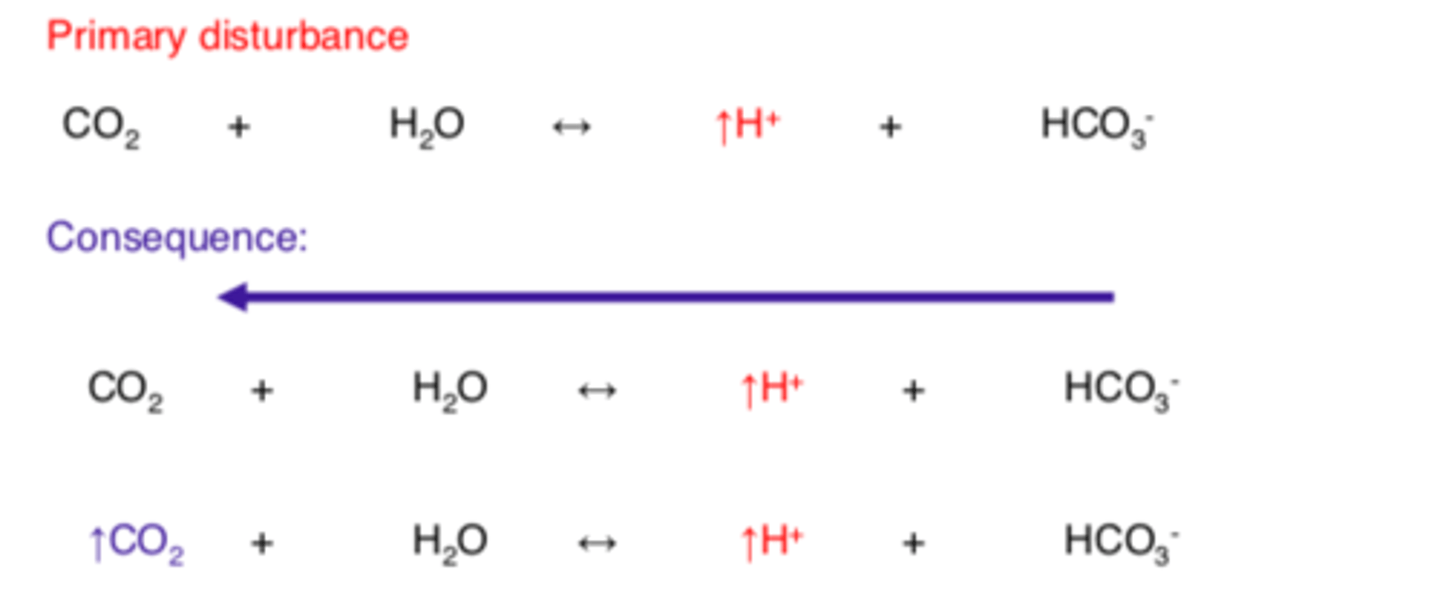 <p>Increased [H+] OR decreased [HCO3-]<br>Decreased pH<br>- Ketosis<br>- Kidney damage <br>- Chronic diarrhea <br>- Excessive lactate production —&gt; tissue hypoexia </p>