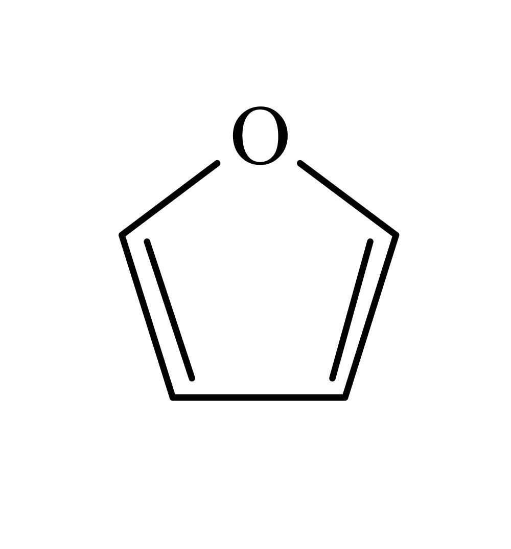 <p>Identify this structure</p>