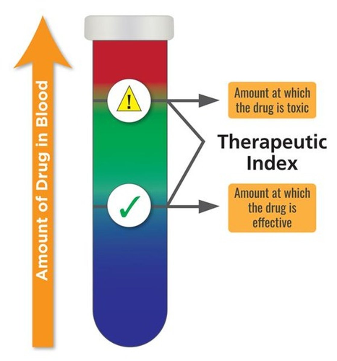 <p>Ratio of toxic dose to therapeutic dose.</p>
