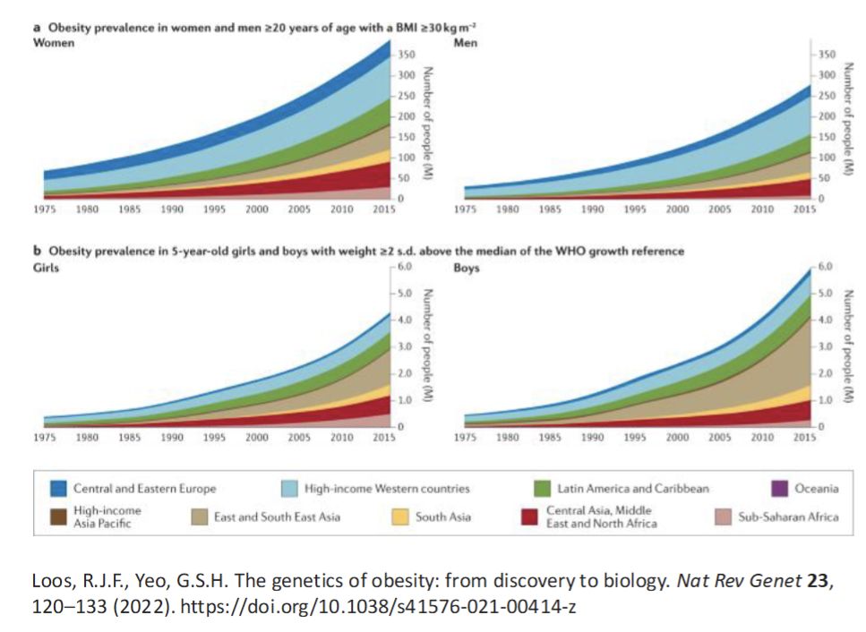 <ul><li><p>Enviornmental factor play a major role</p></li><li><p>Twin Studies(meta analysis on 88 independent twin study)</p><ul><li><p>existence of genetic factors that determine BMI and Obesity</p></li></ul></li><li><p>Family Study</p><ul><li><p>Also agree twin studies showwing importance of genetic factor determining BMI</p><ul><li><p>Heritability Index Range: 0-1</p></li><li><p>0 = trait is not determined by genetics</p></li><li><p>1 = trait is completely determined by genetics</p></li></ul></li></ul></li></ul><p></p>