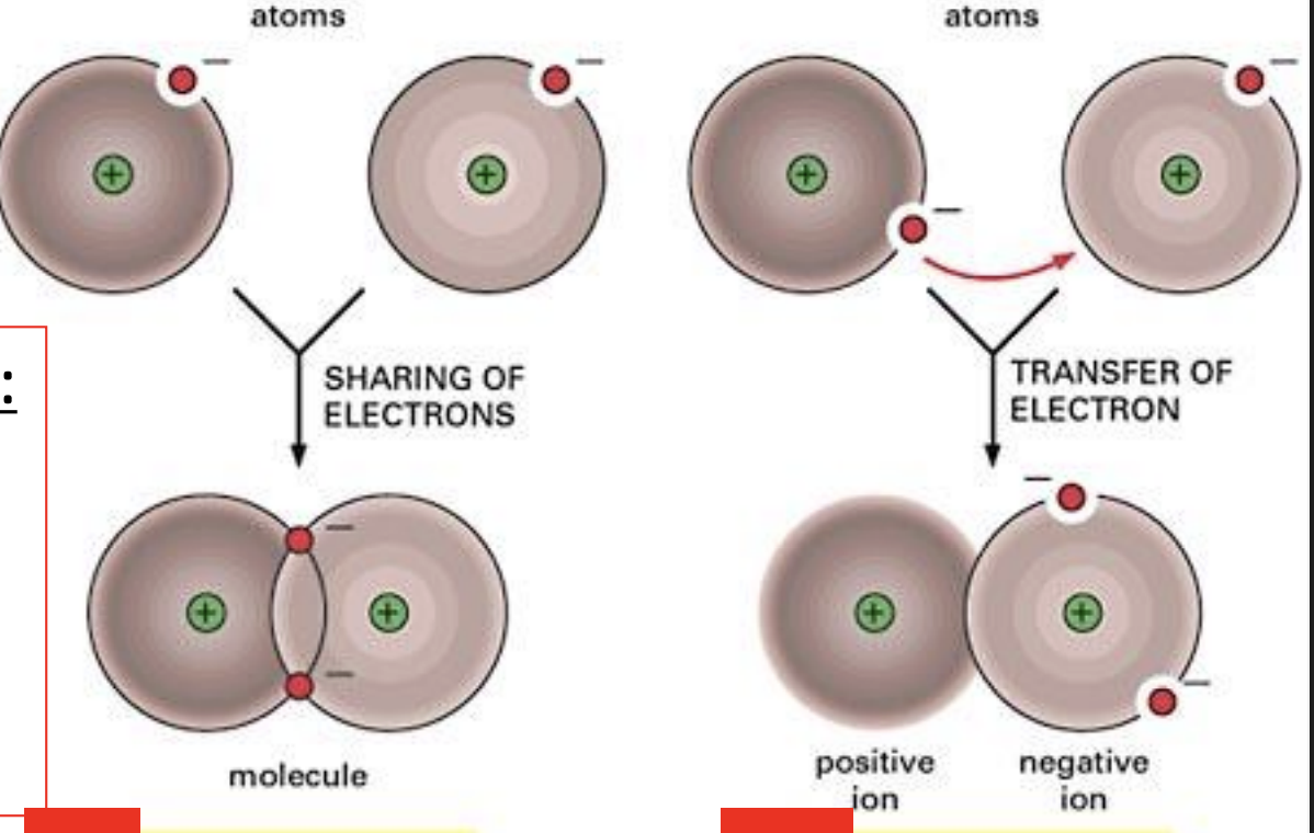 <p>complete transfer of electron(s) → ions: an atom or molecules w 1 or more units of electrical charge </p>