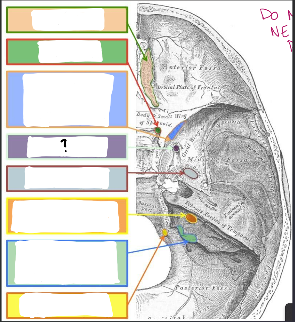 term image