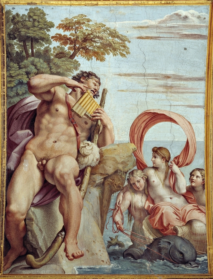 term image