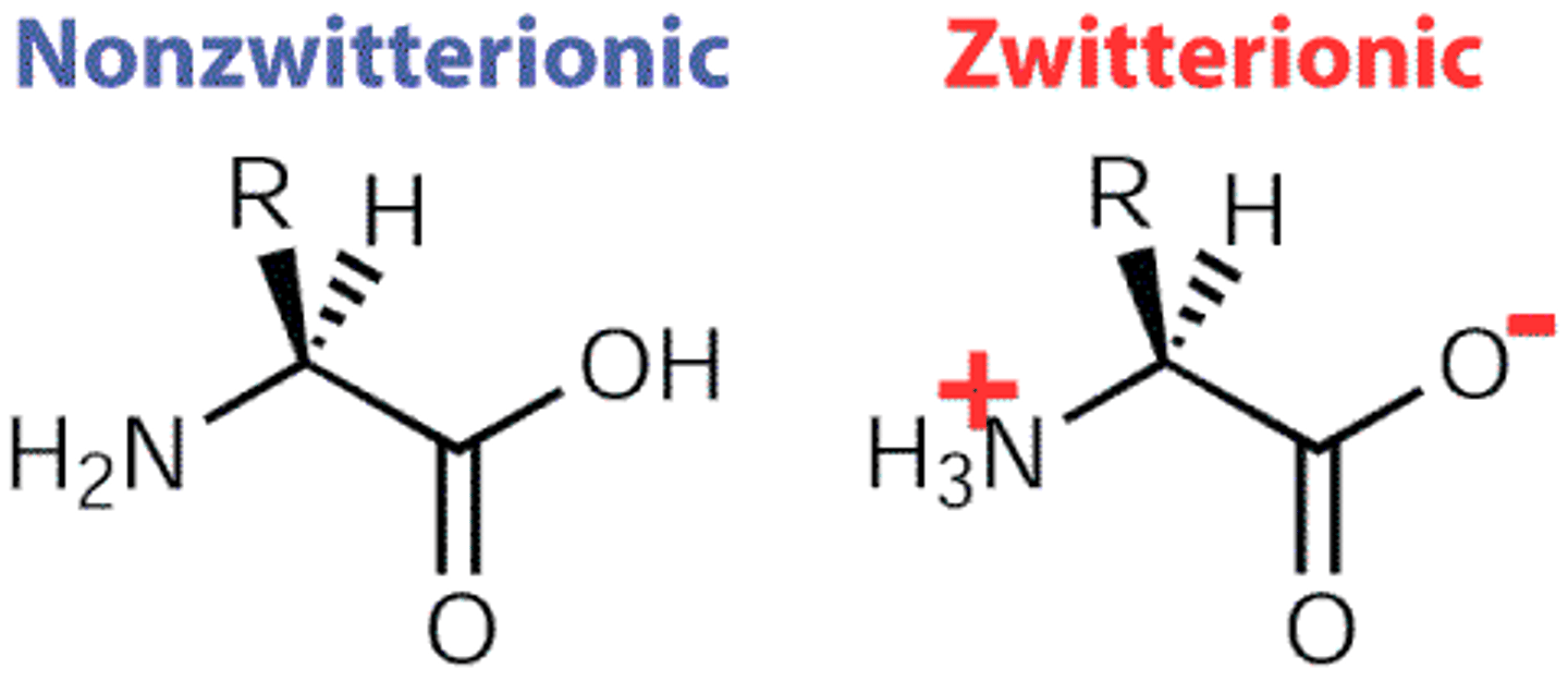 <p>In sol, ionisation state of amino and carboxyl grps change w pH.</p><p>- Zwitter ion has both +/-</p><p>Low pH--&gt; positive on amino group</p><p>medium --&gt; positive on amino group negative on carboxylic acid</p><p>High ph --&gt; negative on carboxylic acid</p>
