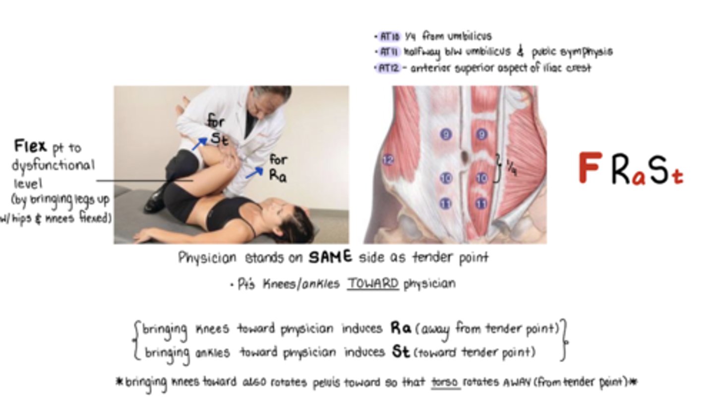 <p>F Ra St</p><p>located @ anterior super aspect of iliac crest</p><p>Physician on SAME side as TP</p><p>knees and ankles to me</p><p>Ra = bring knees toward physician</p><p>rotates pelvis toward so that torso rotates AWAY from TP</p><p>St = bring ankles toward physician</p>