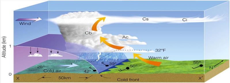 <ul><li><p><span style="font-family: &quot;Times New Roman&quot;, serif">occurs when a colder airmass moves into a warmer airmass</span></p></li><li><p><span style="font-family: &quot;Times New Roman&quot;, serif">warm moist air condenses into high clouds ahead of the surface front boundary</span></p></li><li><p><span style="font-family: &quot;Times New Roman&quot;, serif">uplift more rapid than for warm fronts, cumulonimbus form</span></p></li><li><p><span style="font-family: &quot;Times New Roman&quot;, serif">thick clouds, narrow, short-lived band of precipitation (can be thunderstorms) close behind front boundary</span></p></li><li><p><span style="font-family: &quot;Times New Roman&quot;, serif">steep slope -&gt; 1:50 - 1:70</span></p></li><li><p><span style="font-family: &quot;Times New Roman&quot;, serif">speed typically twice as fast as warm fronts -&gt; 50 km/hour</span></p></li></ul><p></p>
