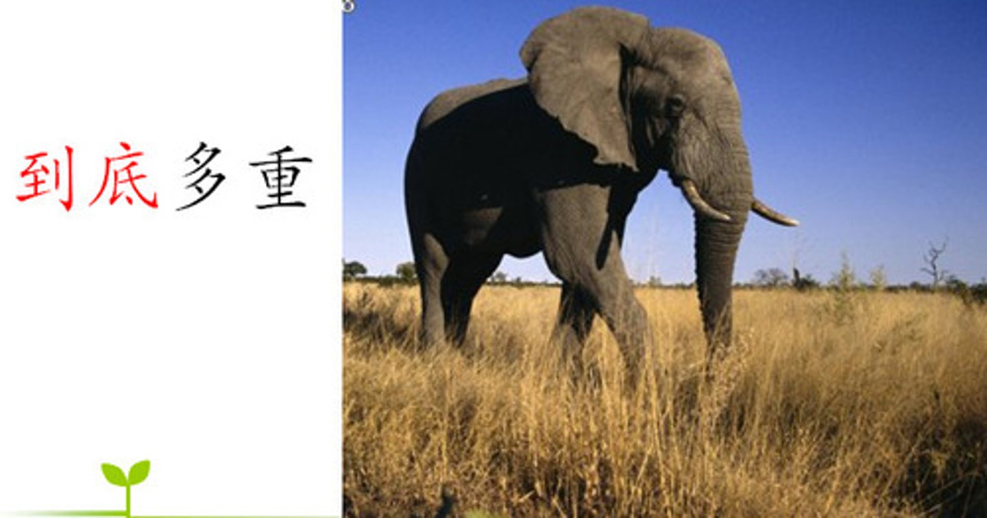 <p>dàodǐ rốt cuộc, rốt cuộc là 你到底想不想去？給我一個答案。 (Nǐ dàodǐ xiǎng bù xiǎng qù? Gěi wǒ yī gè dá'àn.) - Rốt cuộc bạn có muốn đi hay không? Cho tôi một câu trả lời.</p>