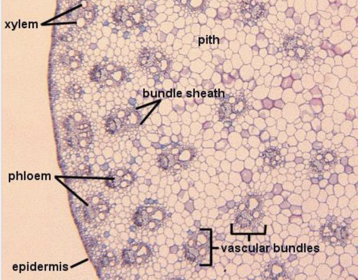 <p>What is this?</p>