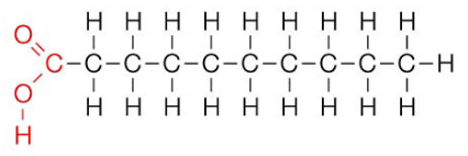 <p>contains only single covalent bonds between carbon atoms</p><p>solid at room temperature</p><p>fat</p>