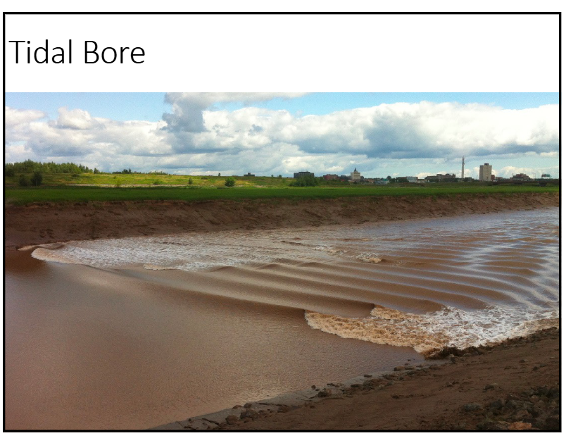 <p>what is a tidal bore?</p>