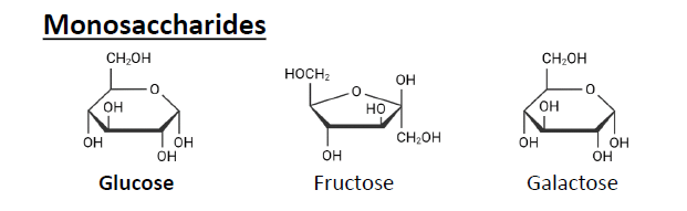 <p>Glucose, Fructose, Galactose.</p>