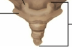 <p>what vertebrae is this</p>