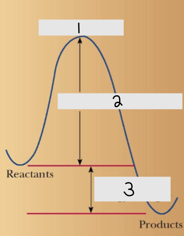 <p>Fill in the blank.</p>